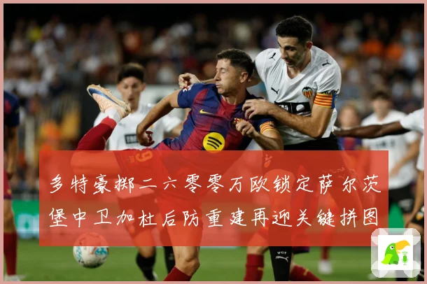 多特豪掷二六零零万欧锁定萨尔茨堡中卫加杜后防重建再迎关键拼图成长观察：最新赛事动态与深度分析